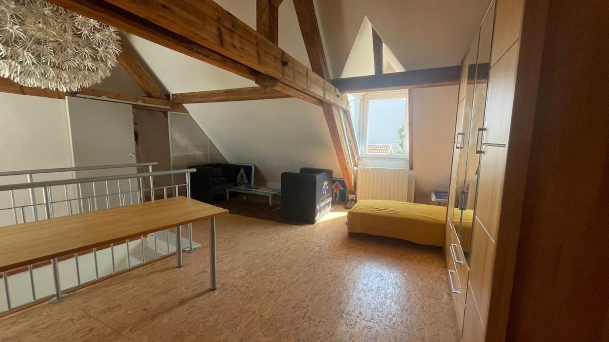 Large Duplex With Terrace Straßburg