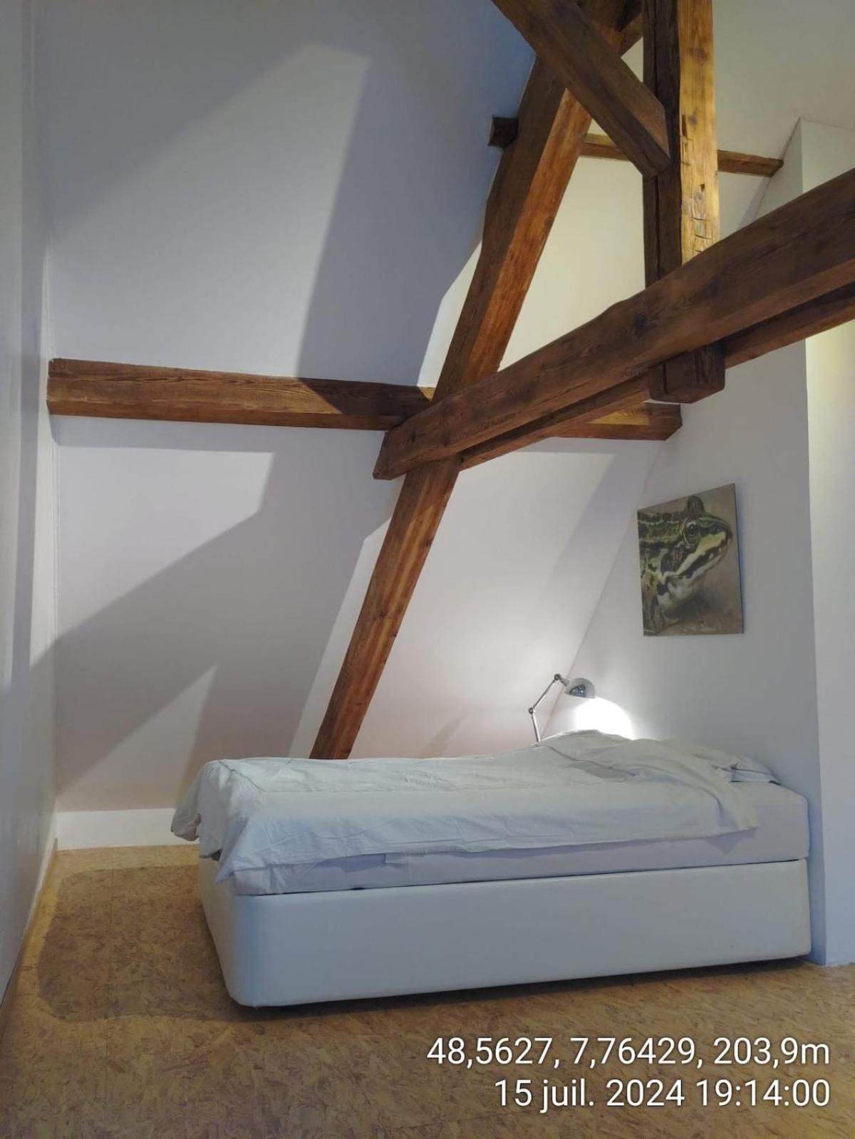 Large Duplex With Terrace